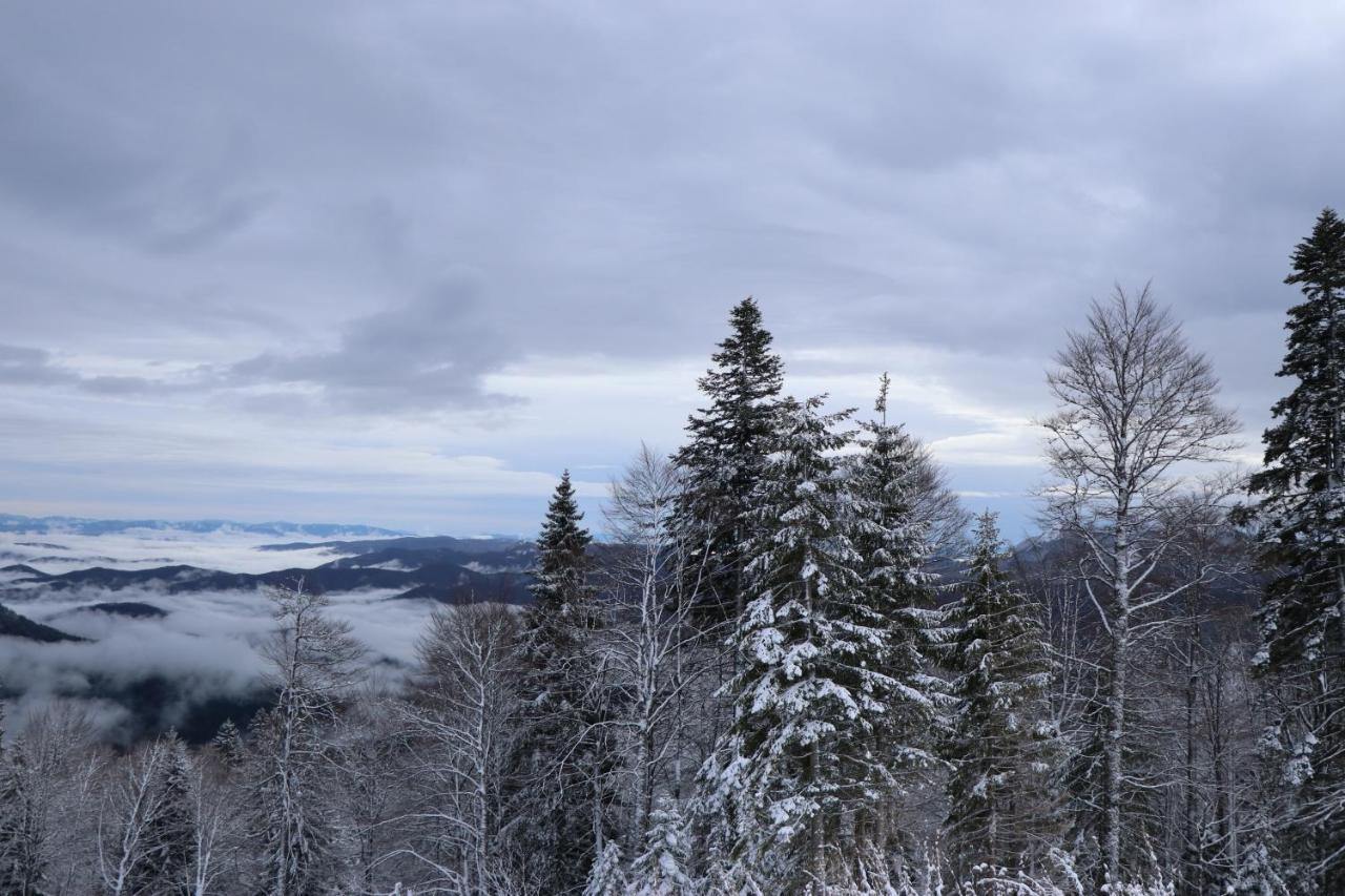 Apartmani Vidik - Groodvy House Jahorina Buitenkant foto